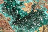 Sparkling Dioptase Crystals with Mimetite - N'tola Mine, Congo #209691-2